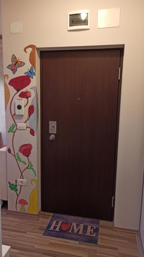 Cozy Home Bujorilor ทิมิชัวรา ภายนอก รูปภาพ